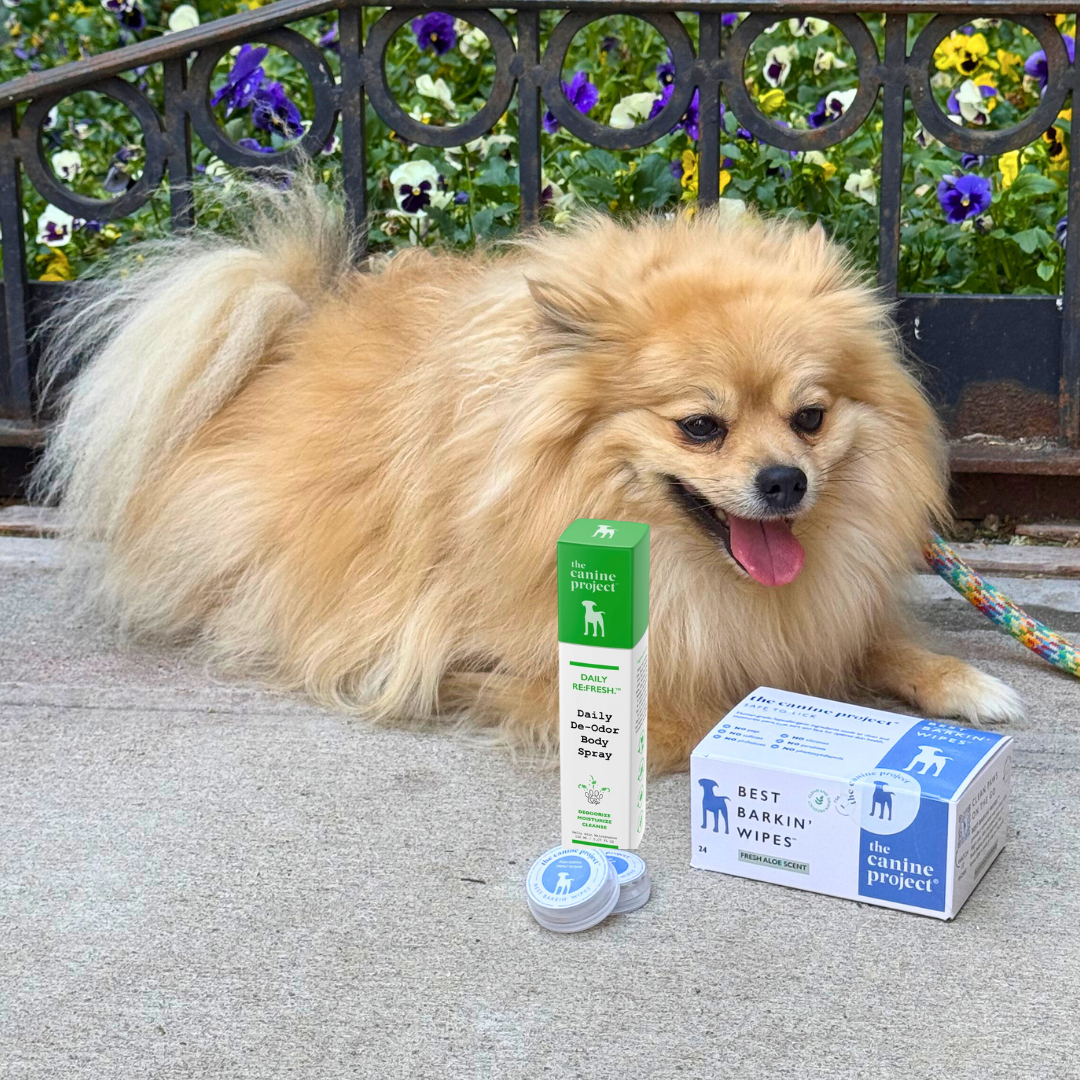 Dogs Skincare Made Just for them