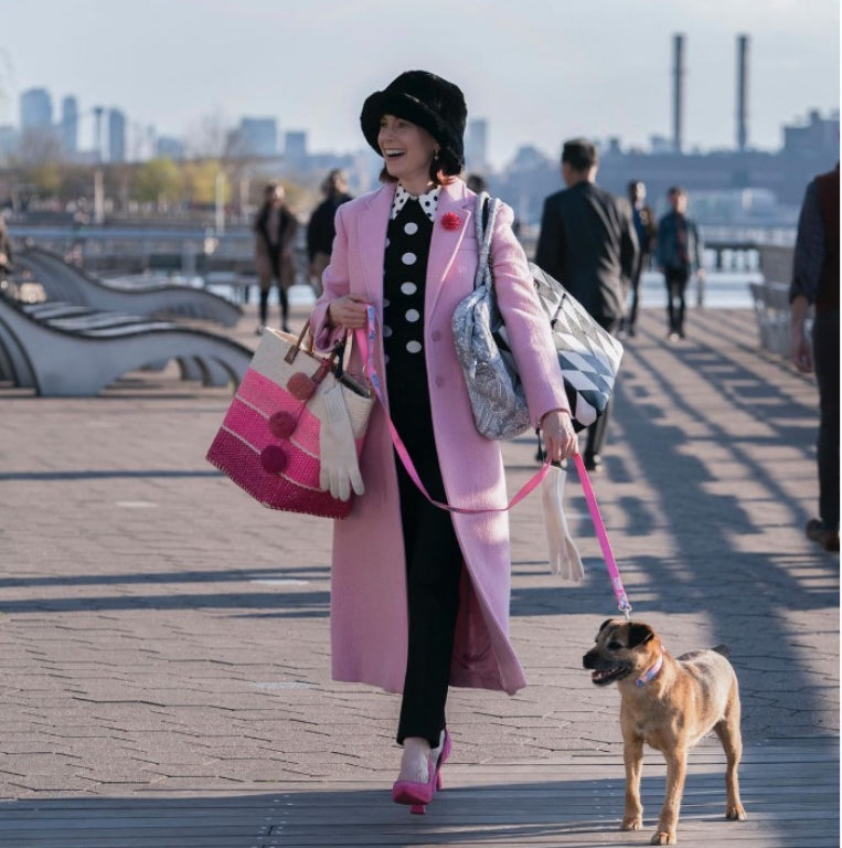 Behind the Scenes with the Top Dogs of the Fall TV Season: From Casting Call to Action! By Nancy Novograd, Owner, All Tame Animals