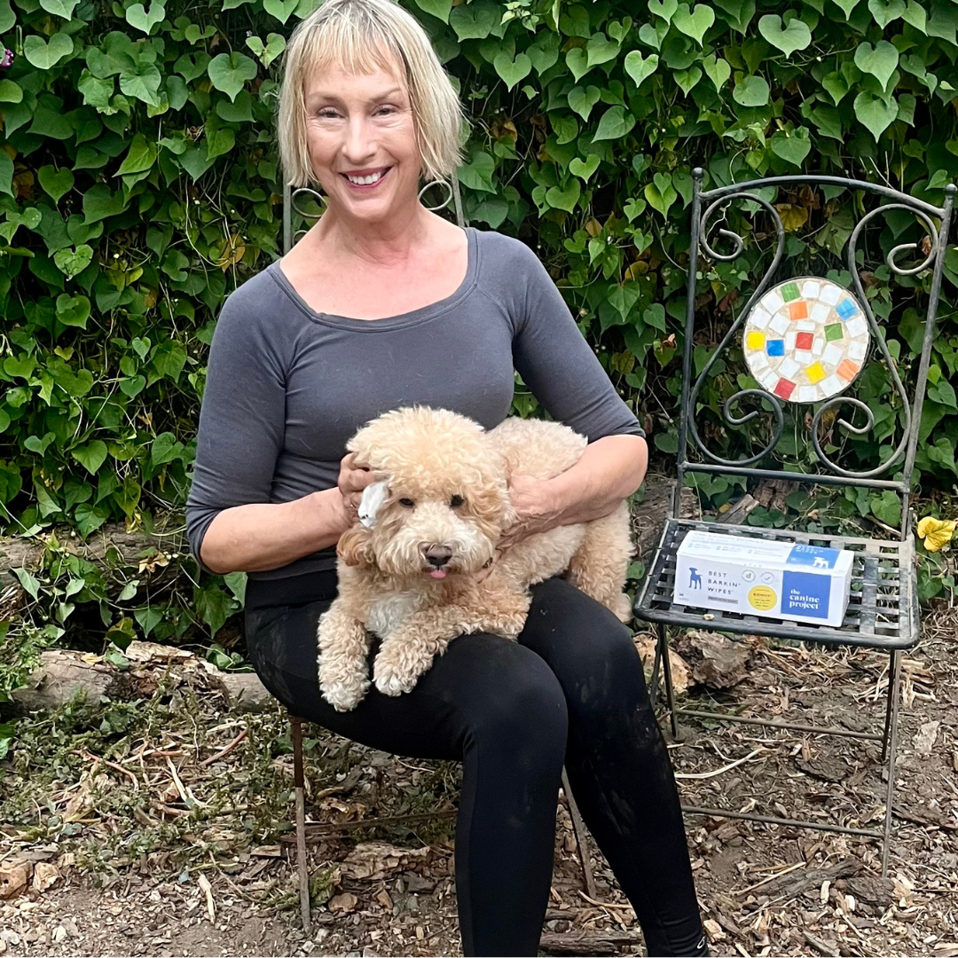 5 Fall Grooming Tips Every Dog Owner Needs to Know by Patti Van Dyke, Owner of Skootee's Pet Care