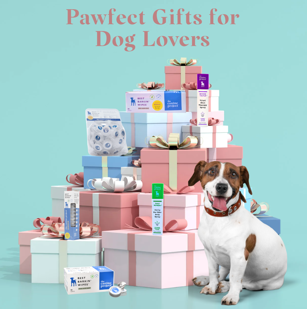 🎁 Jan & Nancy’s Holiday Gifting Guide for Dog Lovers