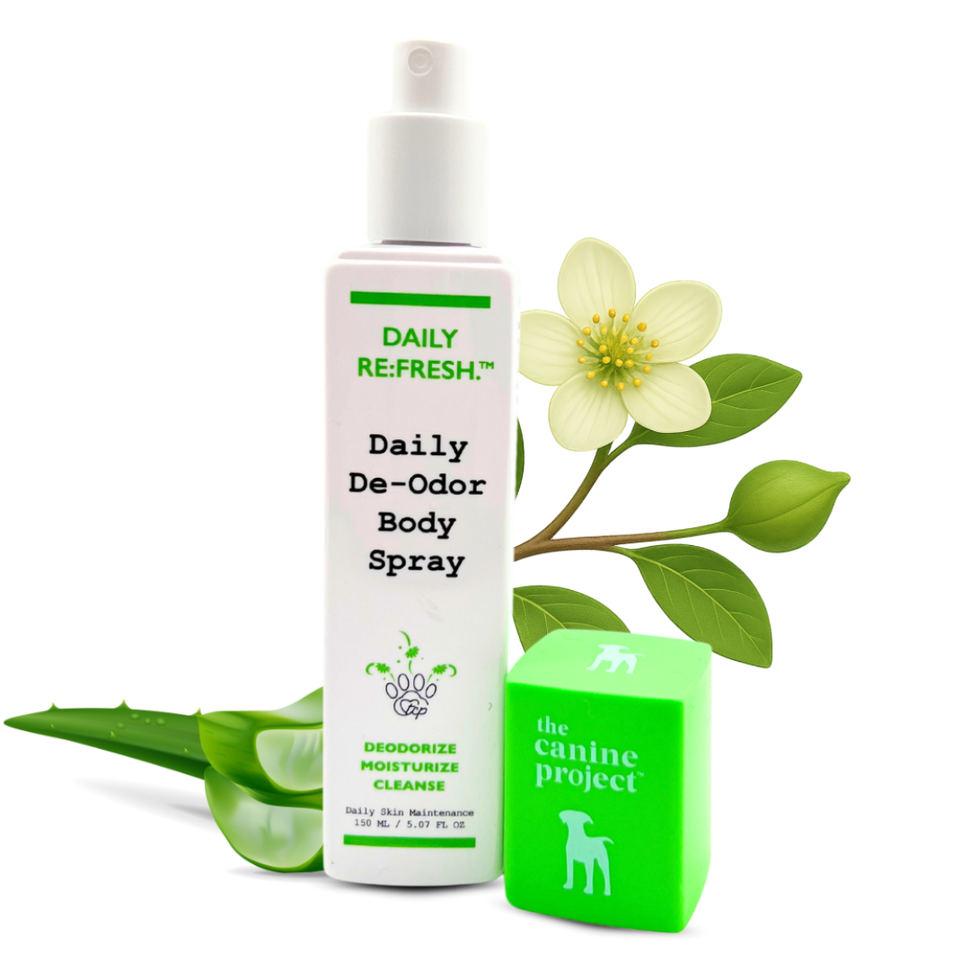 Daily Deodorant Body Spray bottle with a flower and aloe vera leaves on a white background