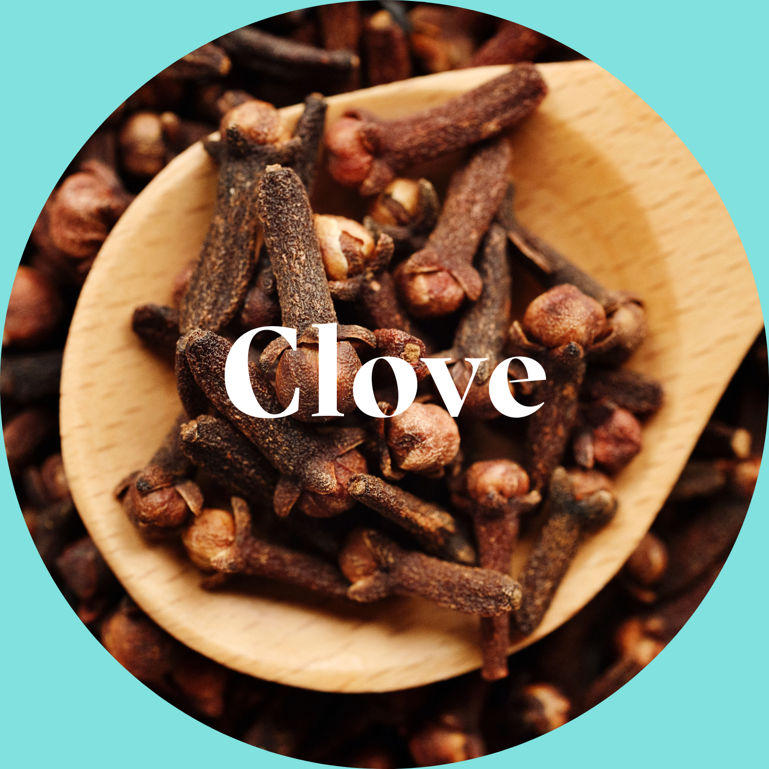 Wooden spoon filled with cloves on a turquoise background