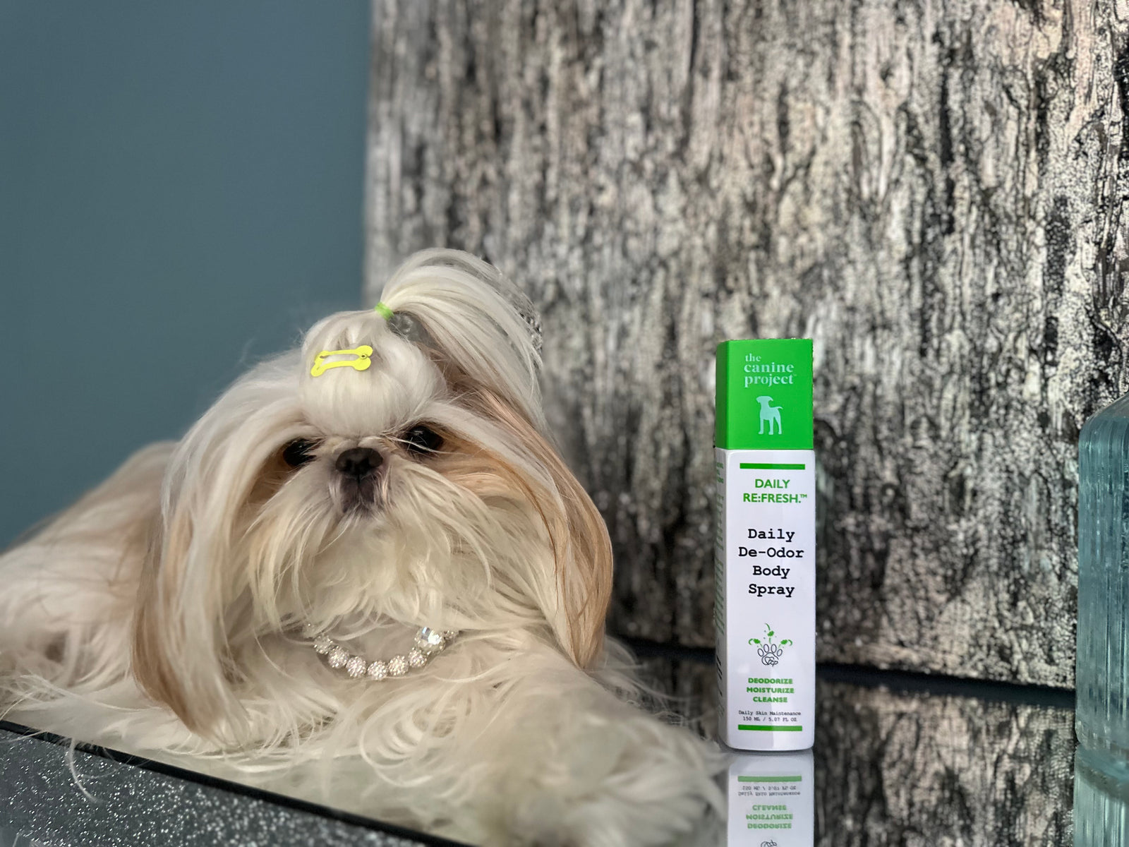 DAILY RE:FRESH.™ Daily De-Odor Body Spray