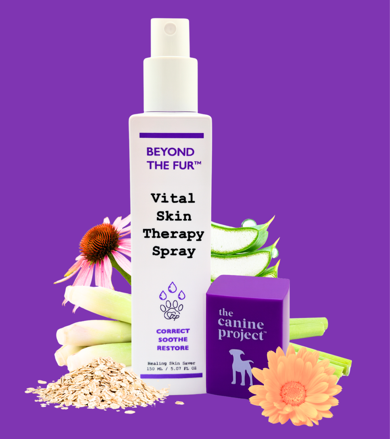 Vital Skin Therapy Spray by Beyond the Fur on a purple background with aCanine Project box and natural elements.