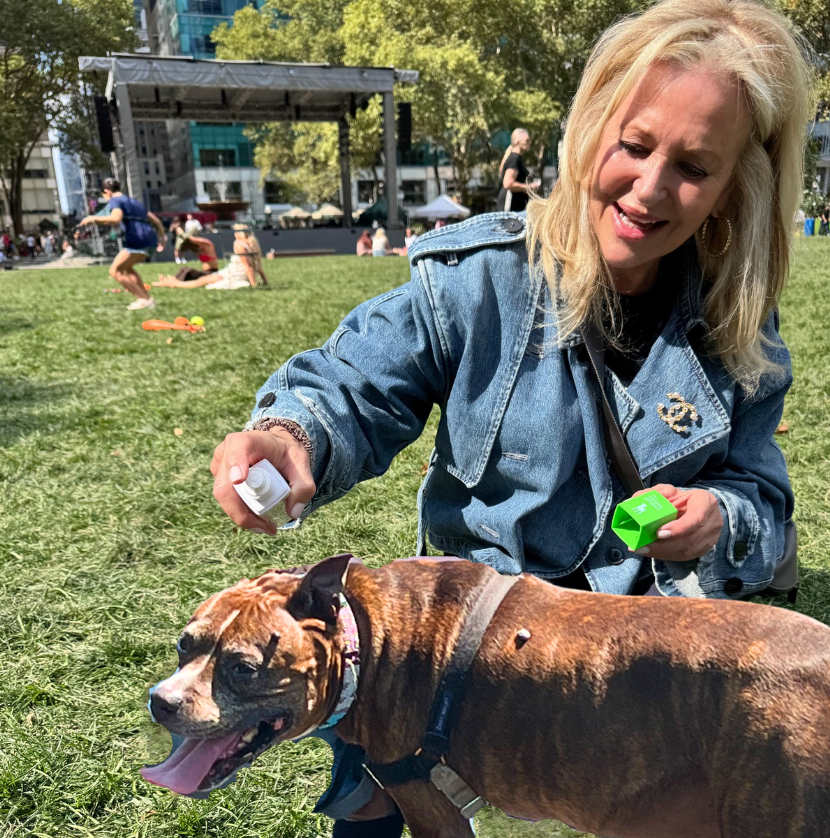 Caring for Your Pit Bull’s Skin & Showcasing Their Best Qualities