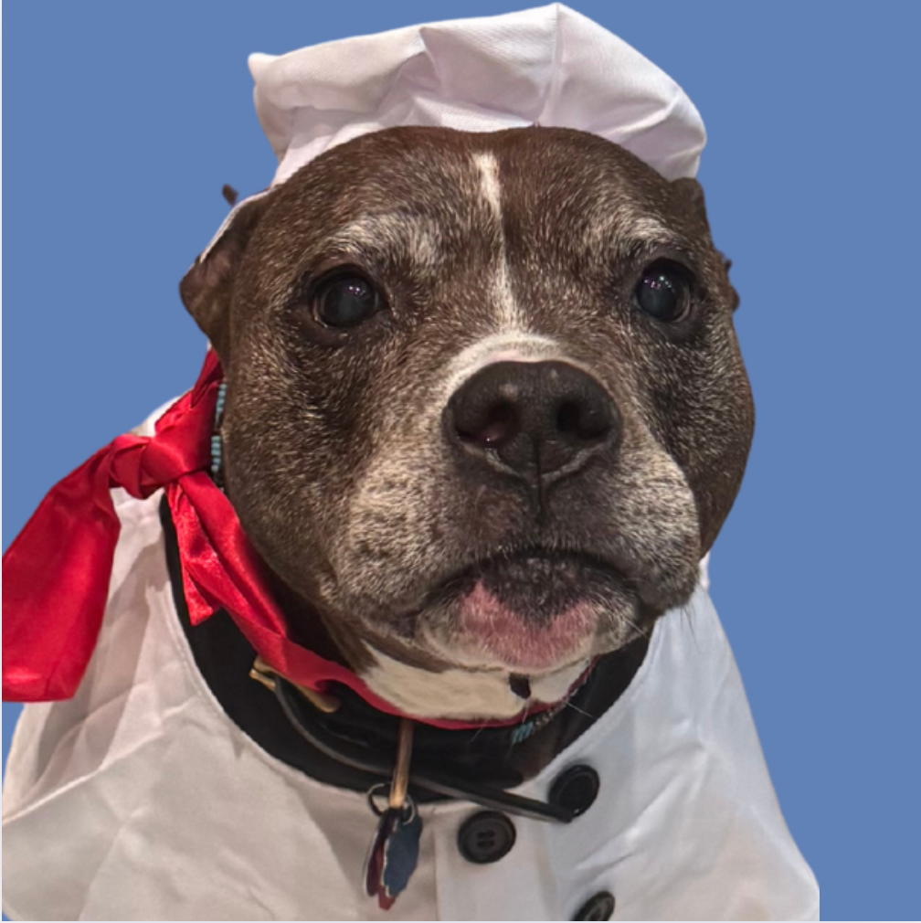 Chef Bailey’s Pup Friendly Hanukkah Dog Latkes