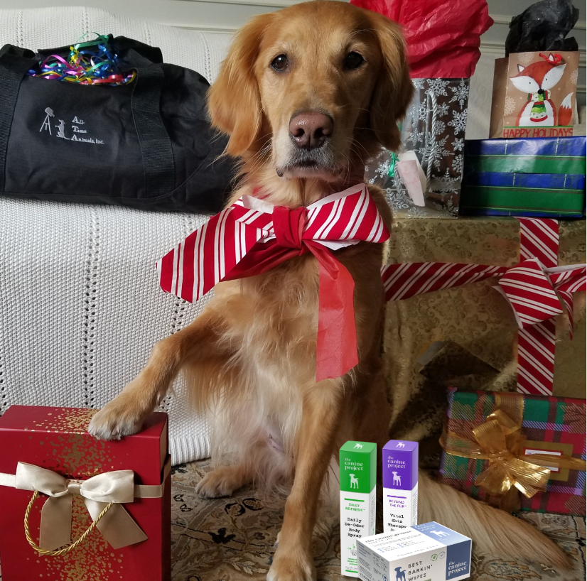 The Ultimate Holiday Pet Guide: Holiday Treats, Grooming Tips & Stress-Free Travel for Dogs