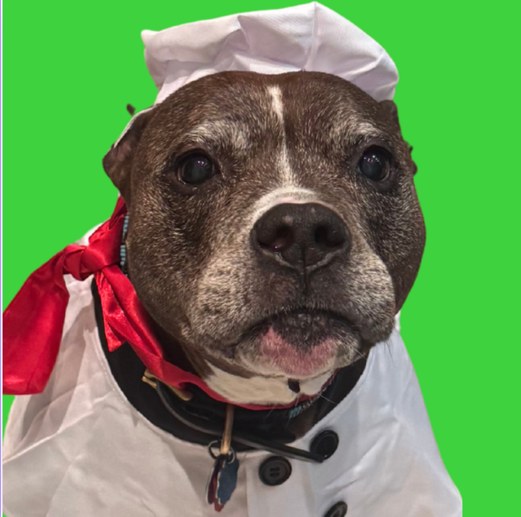 ❤️🎄 Chef Bailey’s Christmas Cookie Bites