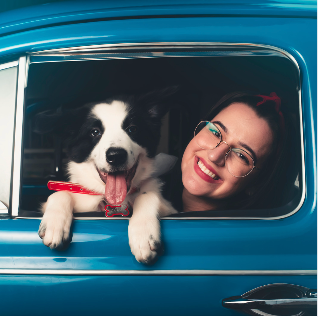 Summer Travel with Your Dog: The Ultimate Guide to Dog-Friendly Vacations