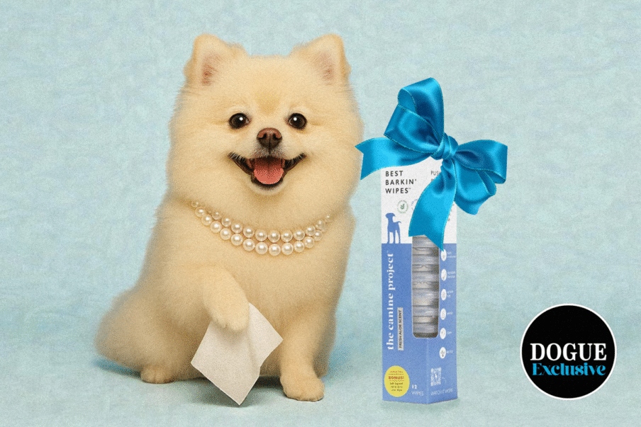 From Fur to Skin: How The Canine Project Is Raising the Dog Grooming Bar