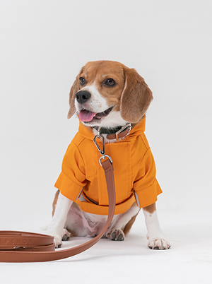 Tribeca adjustable velcro raincoat - Egg Yolk by PEHOM