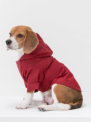 Tribeca adjustable velcro raincoat -  Burgundy by PEHOM