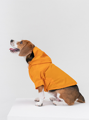 Tribeca adjustable velcro raincoat - Egg Yolk by PEHOM