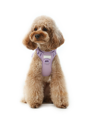 NO PULL ACTIVE  PET HARNESS - MINT PURPLE by PEHOM