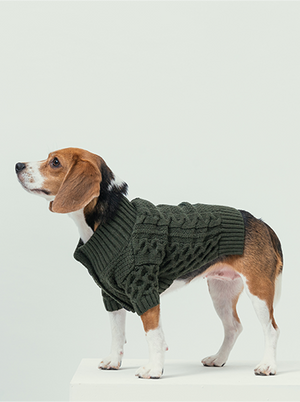 BERT CARDIGAN SWEATER - DARK GREEN by PEHOM