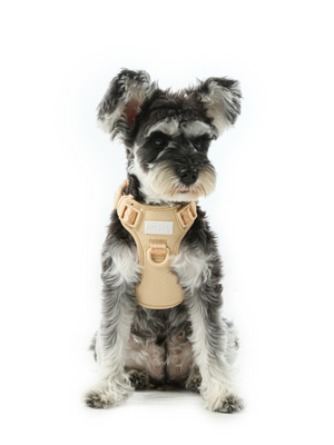 NO PULL ACTIVE  PET HARNESS - APRICOT by PEHOM