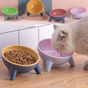 Stylish Paws Nordic Color Pet Feeding Bowl With Stand by Dog Hugs Cat