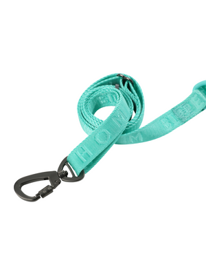 PADDED  ACTIVE  PET LEASH  - MINT GREEN by PEHOM