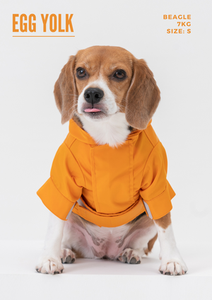 Tribeca adjustable velcro raincoat - Egg Yolk by PEHOM