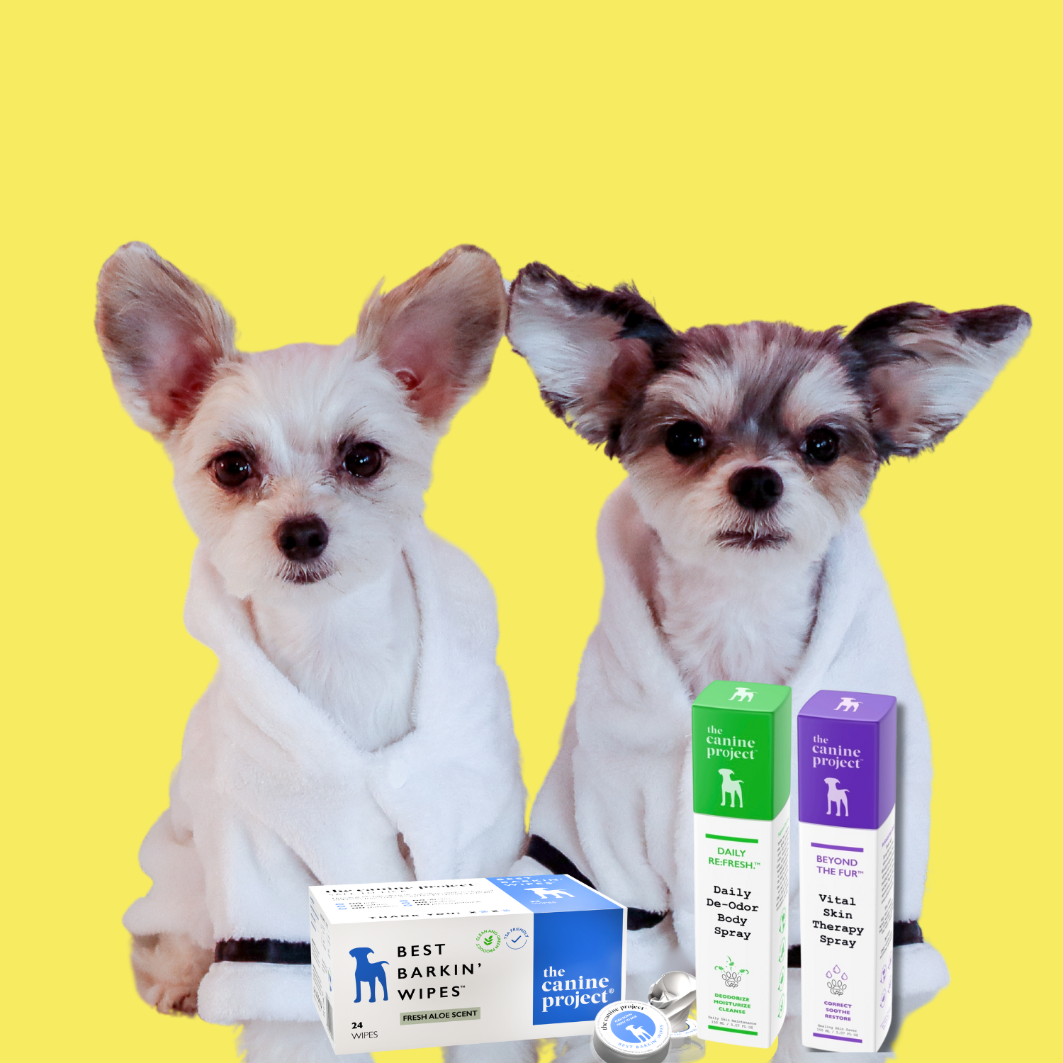 Two small dogs sitting behind products from The Canine Project on a yellow background