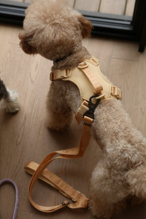 NO PULL ACTIVE  PET HARNESS - APRICOT by PEHOM