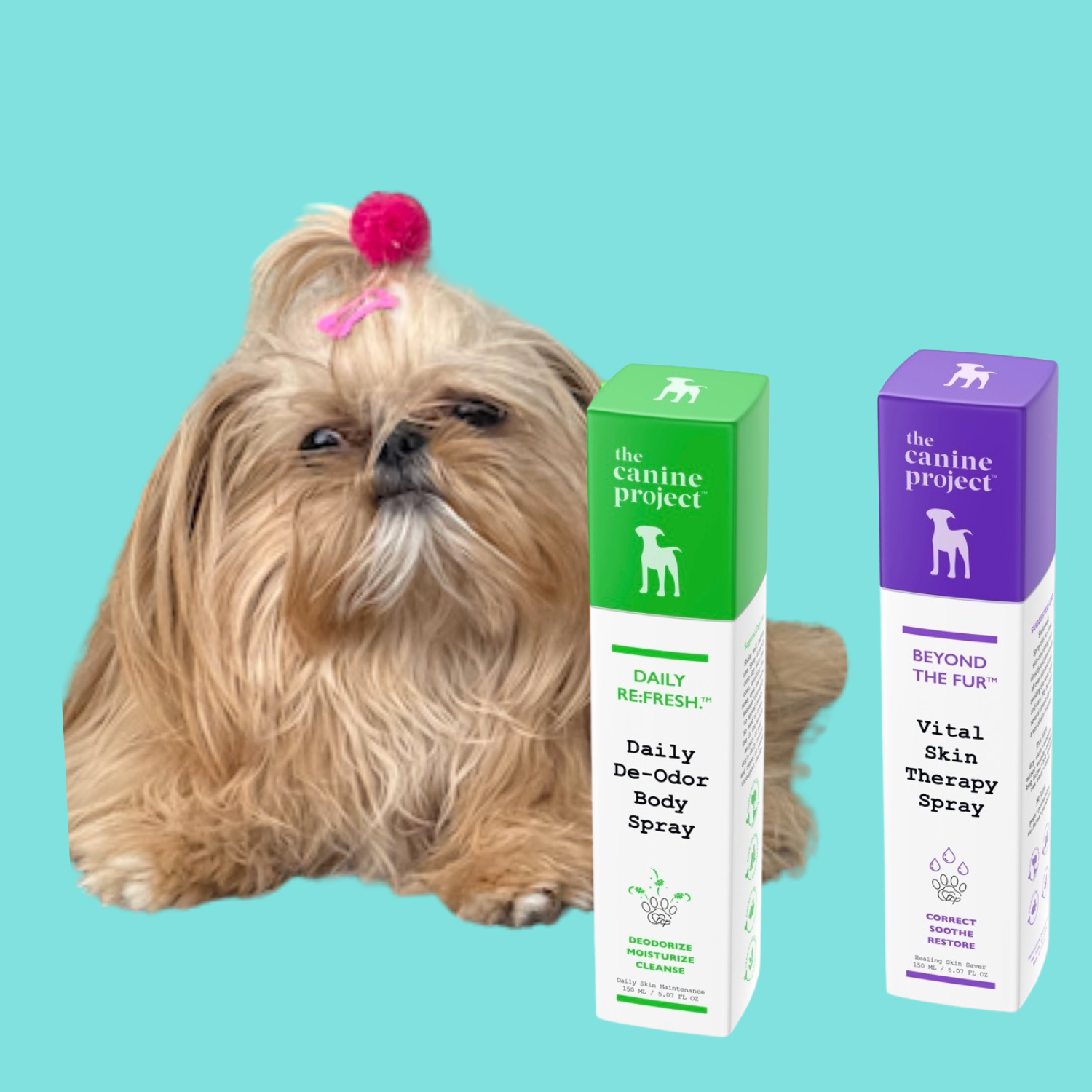 Dog with a hair bow next to 'The Canine Project' pet care product boxes on a teal background