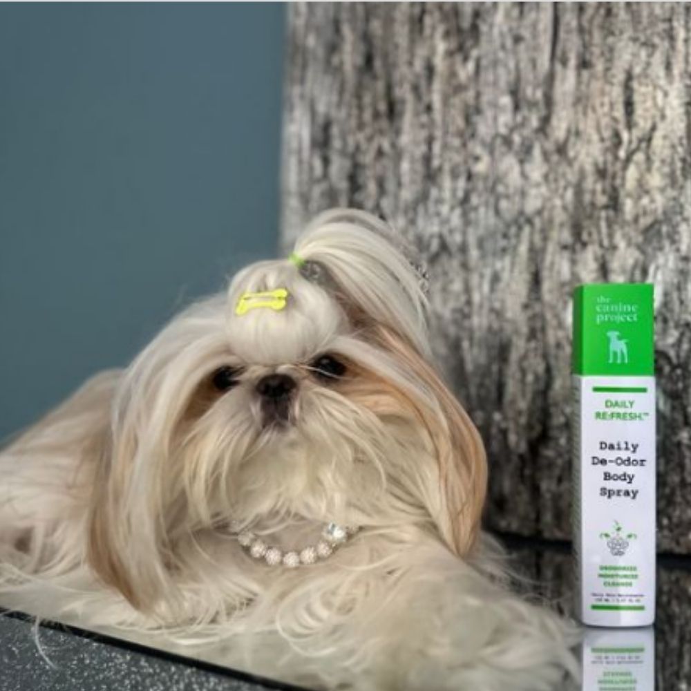 Dog with Daily De-Odor Body Spray
