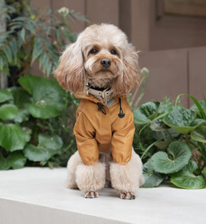 Ultralight Full covered hooded waterproof dog jacket - Yellow by PEHOM