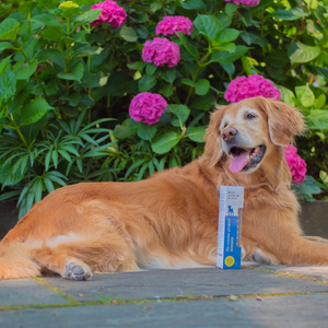 BEST BARKIN' WIPES™