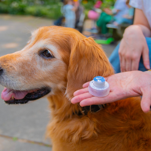 BEST BARKIN' WIPES™