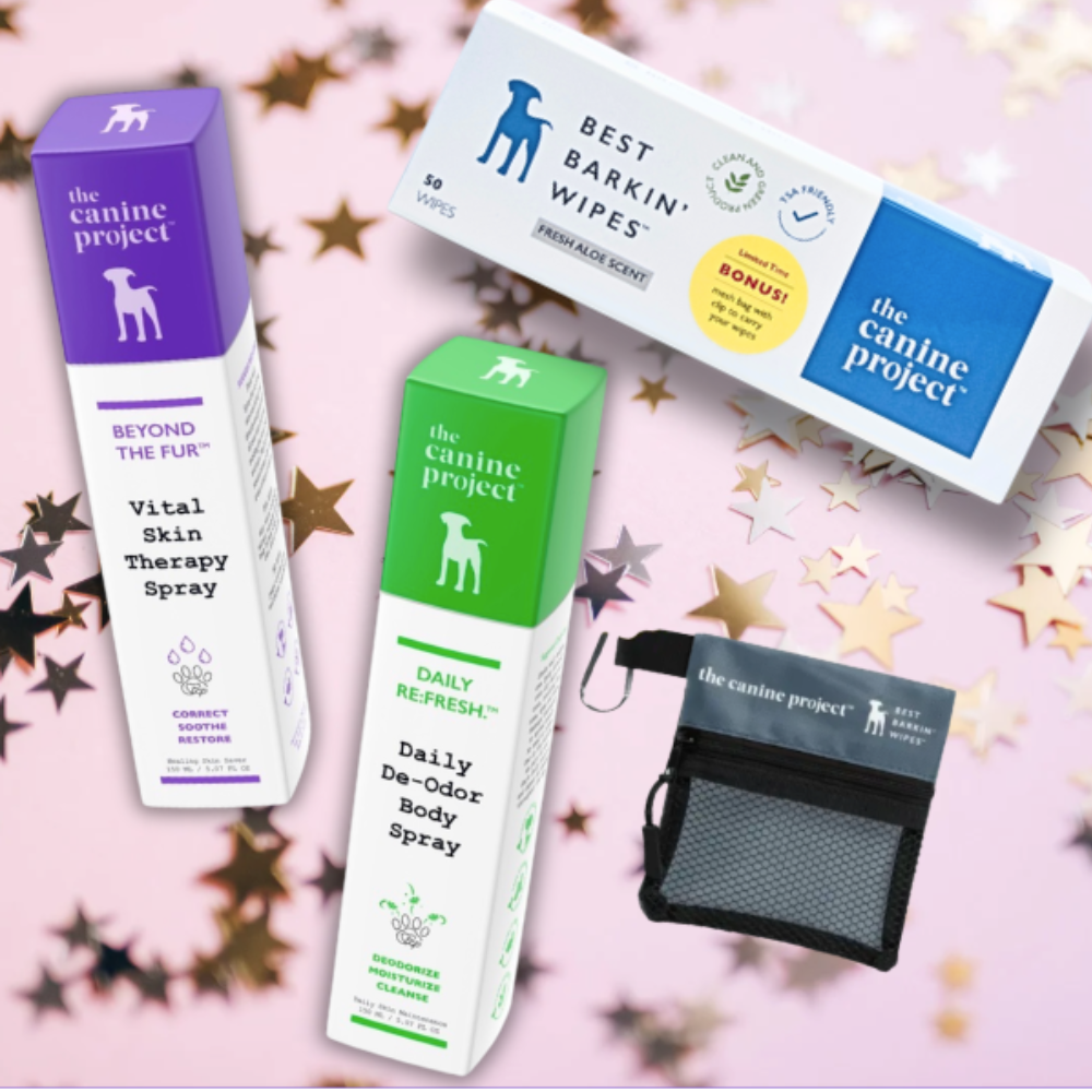 New Year Skin Reset Bundle