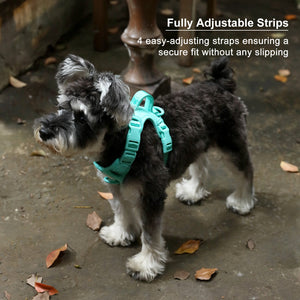 NO PULL ACTIVE  PET HARNESS - MINT GREEN by PEHOM