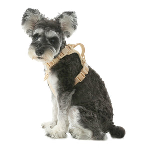 NO PULL ACTIVE  PET HARNESS - APRICOT by PEHOM