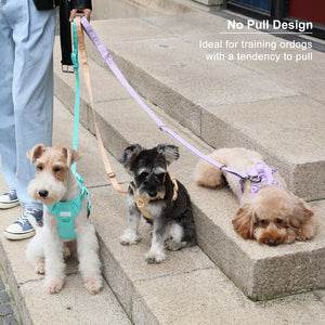 NO PULL ACTIVE  PET HARNESS - MINT PURPLE by PEHOM