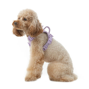 NO PULL ACTIVE  PET HARNESS - MINT PURPLE by PEHOM