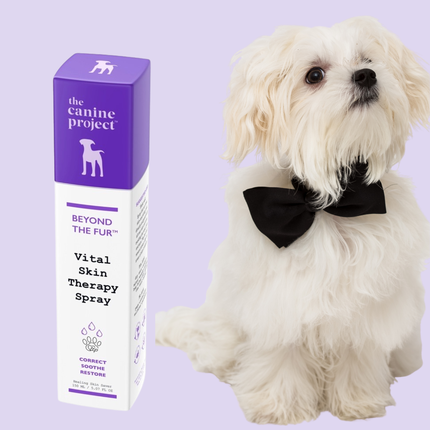 White dog wearing a black bow tie next to 'The Canine Project' product box on a light purple background