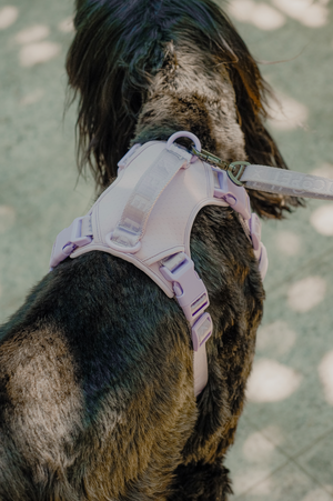 NO PULL ACTIVE  PET HARNESS - MINT PURPLE by PEHOM