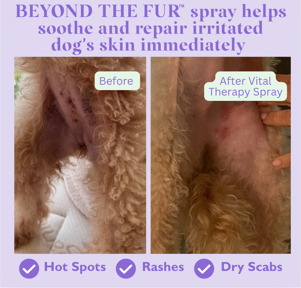BEYOND THE FUR™ Vital Skin Therapy Spray