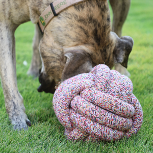 Bean Red Bliss Rope Ball Toy Collection by Knotty Pawz