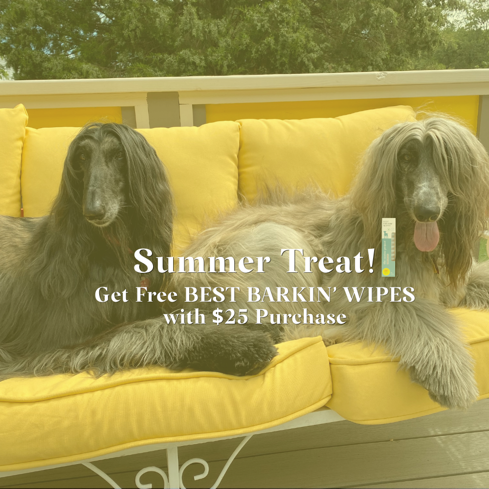 Summer 2026 Promo Landing Page - The Canine Project