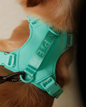 NO PULL ACTIVE  PET HARNESS - MINT GREEN by PEHOM