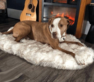 Cozycanine Plush Dog Bed - Luxurious Beige Mat For Restful Pet Sleep by Dog Hugs Cat