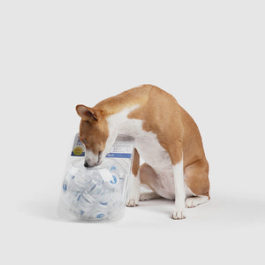 BEST BARKIN' WIPES™