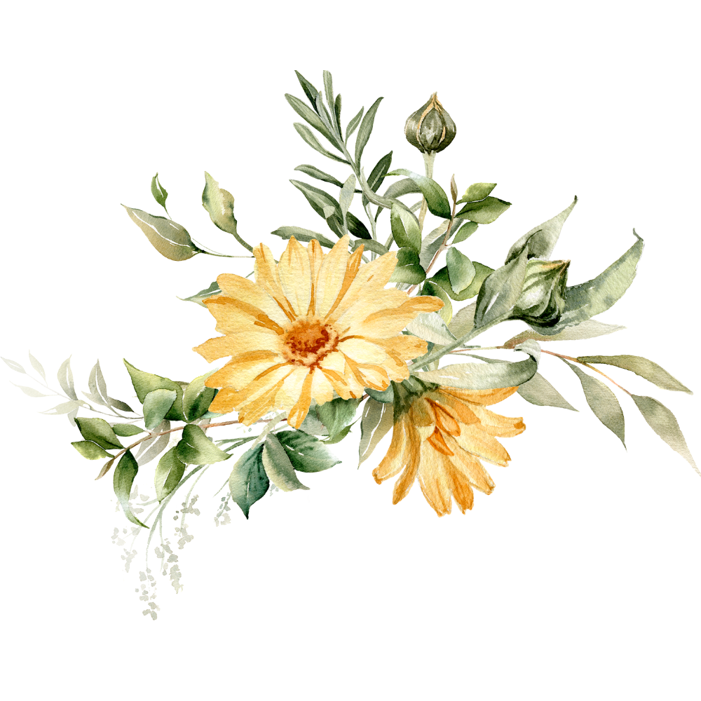 Calendula flowers, an ingredient in BEYOND THE FUR